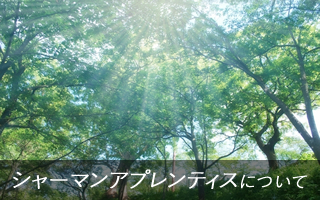 シャーマンアプレンティスについて